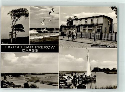 Ostseebad Prerow Strand Möwen Erholungsheim Am Hafen Segelboot