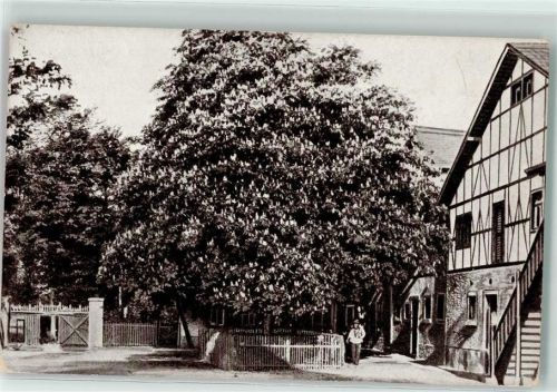 04643 O7231 Elbisbach - Haus und landwirtschaftliche Frauenschule Arvedshof Gutshof Litfaßsäule Ort handschriftlich