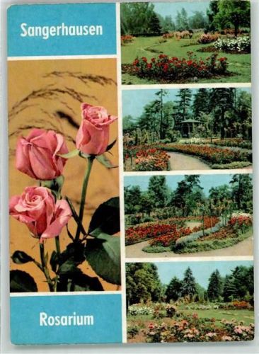 Sangerhausen Rosarium Rosenbeete Rosenstrauß