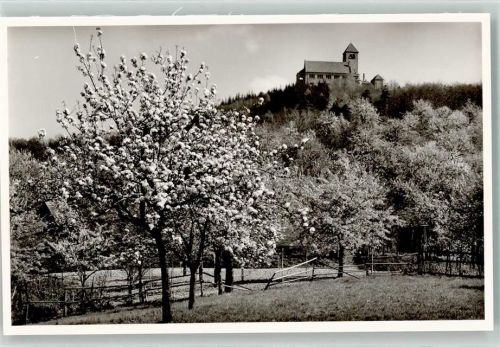 Weinheim WSC Wachenburg