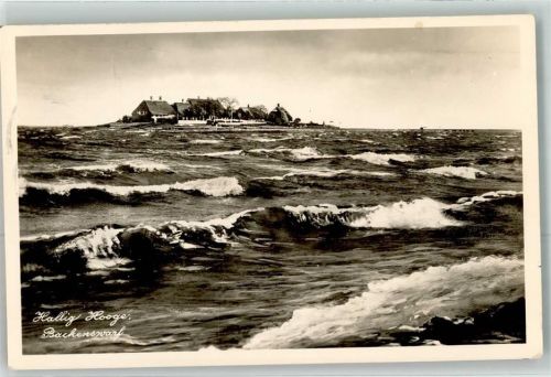 Hooge Backenswarf umspült vom Meer
