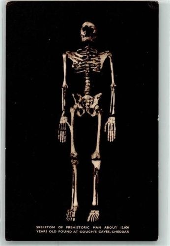 Prehistorischer Mann Foughs Caves Ceddar