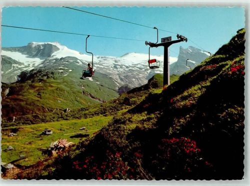 Hintertux Hintertuxer Gletscherbahn Gefrorner Wand Olperer Lärmstange Schnee Blumen