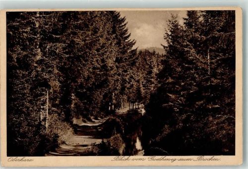 Brocken 1928 Goetheweg mit Brocken