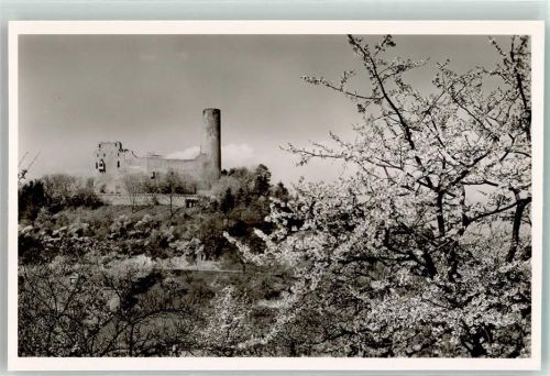 Weinheim Burgruine Windeck