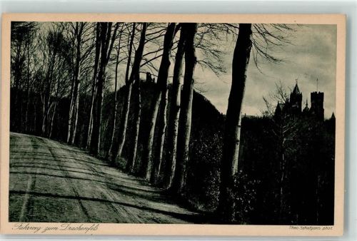 Drachenfels Weg zur Burg Drachenfels