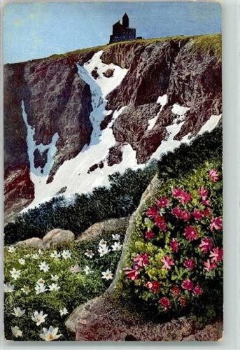 Schreiberhau 1913 Schneegrubenbaude aus Rübezahls Garten Habmichlieb Berganemone