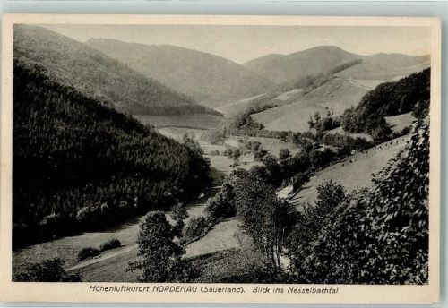 Nordenau Blick ins Nesselbachtal Höhenluftkurort