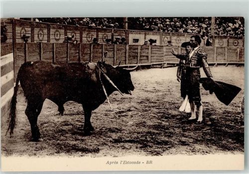 Toreros Nach der Estocade