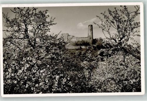 Weinheim 1957 Burgruine Windeck