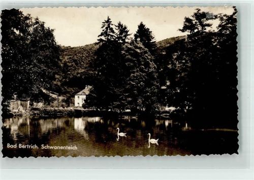 Bad Bertrich Schwanenteich