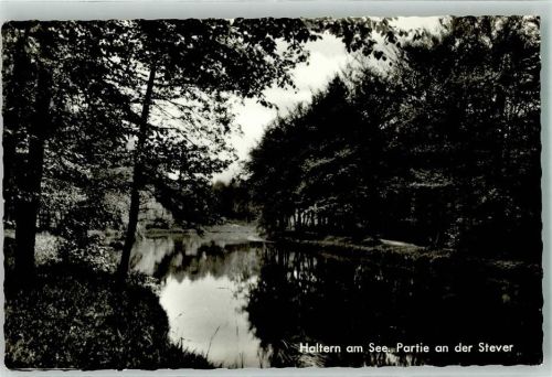 Haltern Stever