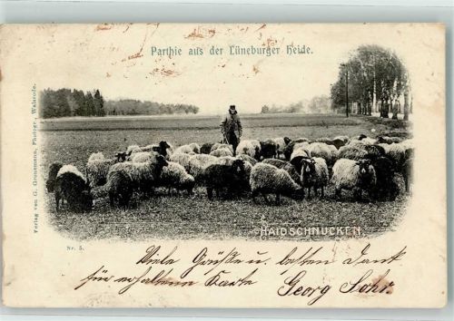 1904 Haidschnucken Bahnpost Zug Nr.461