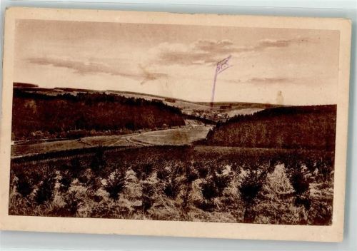 Fohlenplacken 1921 im Solling