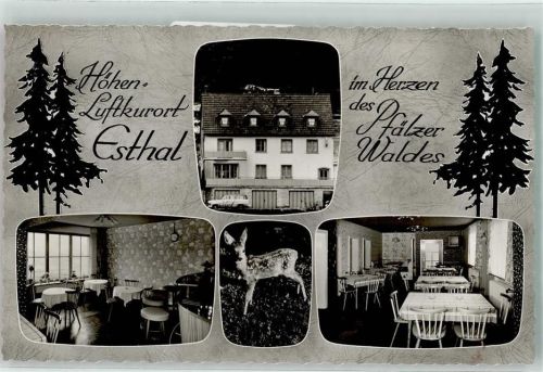 Esthal Reh Pension Michelsberg