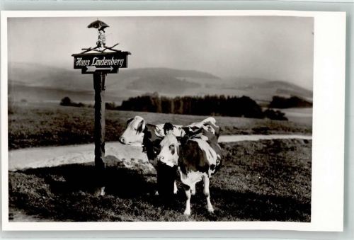 St. Peter Handgeschnitzer Schwarzwälder Wegweiser zum Gasthaus Haus Lindenberg und zwei Kühe