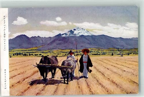 Mexiko City Büffelgespann Popocatépetl Vulkan Mann Frau Hut Landwirtschaft Feld sign. Seiler