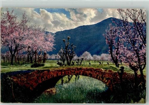 Obstblüte in Tirol