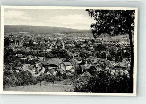 Erbach Vogelschau