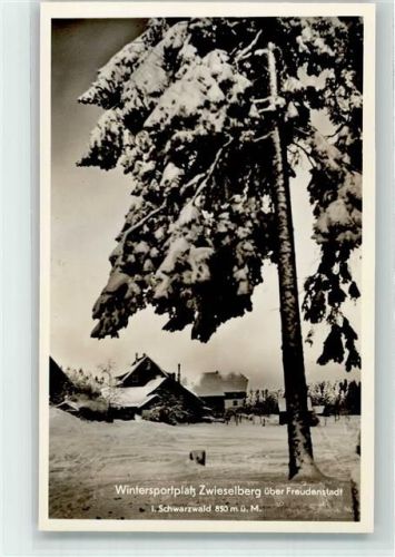 Zwieselberg Gasthaus Pension Auerhahn Winter