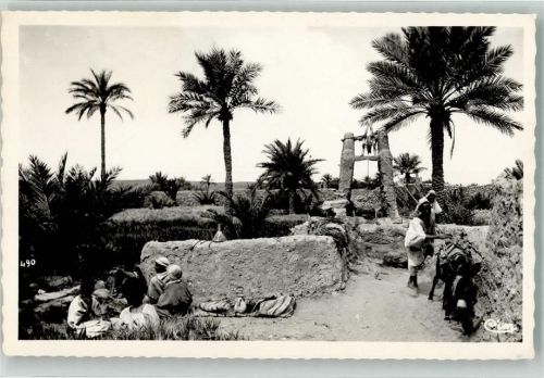 Ghardaia 1952 Paysage du M`zab Zentralatlas-Tamazight