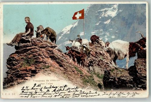 1905 Ziegen CPN 32 Schweiz