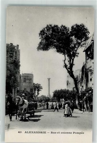 Alexandria Rue et colonne Pompee