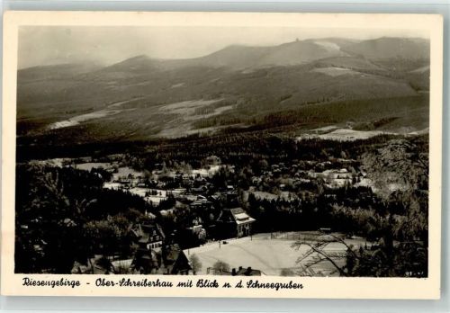 Oberschreiberhau Staudte Postkarte Foto AK