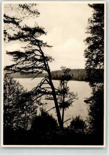 Niedersee Masuren