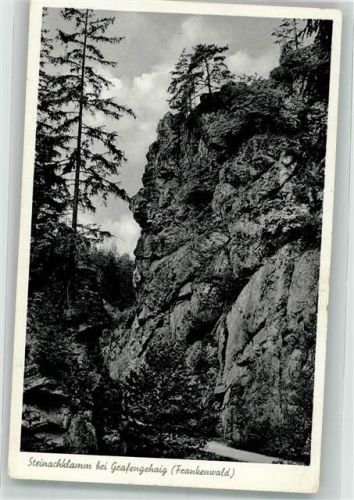 95356 W8651 Grafengehaig Foto AK Steinachklamm Frankenwald