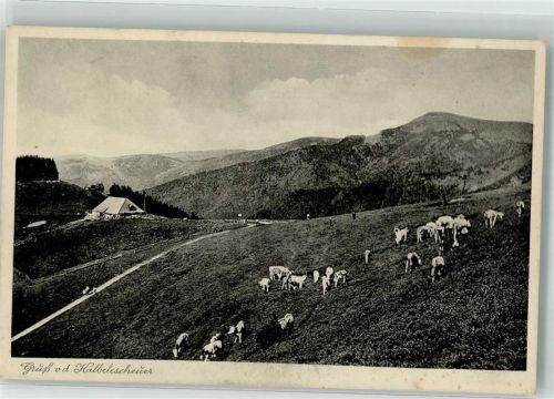 Münstertal Gasthaus Kälbelescheuer