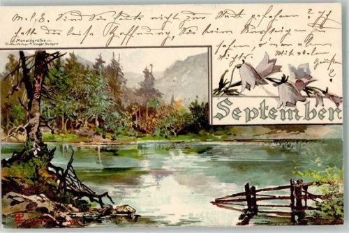 1900 September Ein stilles Gewässer am Rande eines Tannenwaldes Monatsgrüße Verlag M. Seeger
