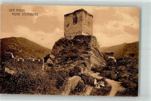 Kamp-Bornhofen Burg Sternberg