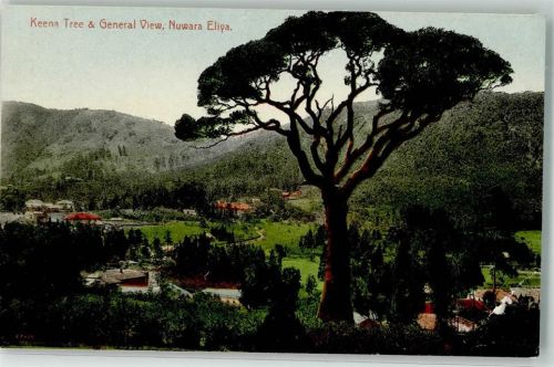 Nuwara Eliya