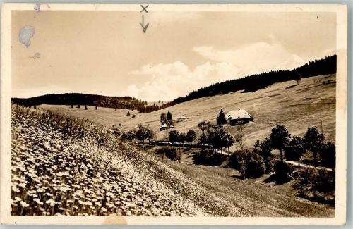 Rütte 1942 Foto AK