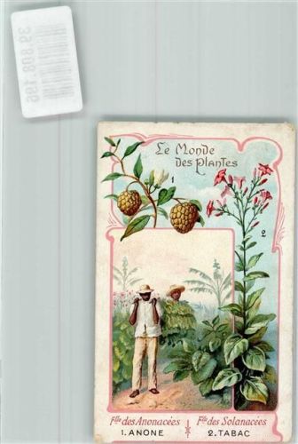 Prägedruck Plantagenarbeiter mit Kakaofrüchten und Tabakpflanzen Jugendstil KEINE AK Edition de la Chocolaterie D'Aiguebelle