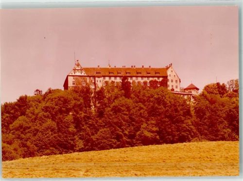 Heiligenberg Renessaince-Schloss Foto Original aus Archiv eines Ansichtskartenverlags Ort handschriftlich
