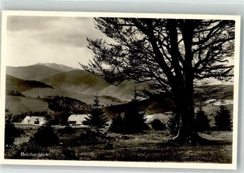 Giesshübel Belchenblick Gasthaus Pension am Schauinsland