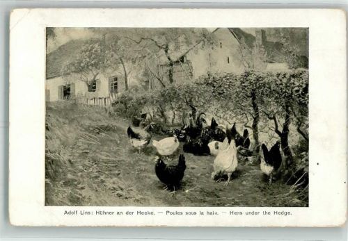 sign. Lins, Adolf Hühner an der Hecke MKB 575