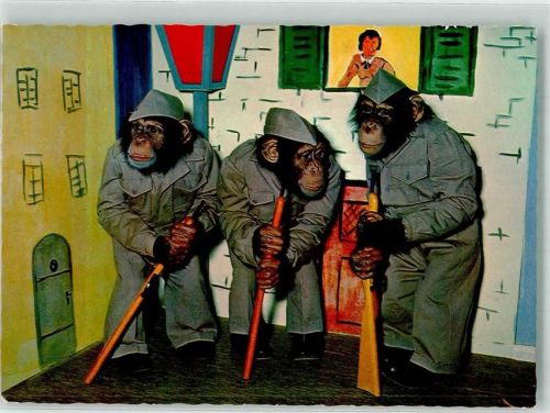 1963 Affe Chimpansen als Soldaten