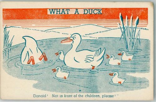 What a Duck ! Not in front of the children please!