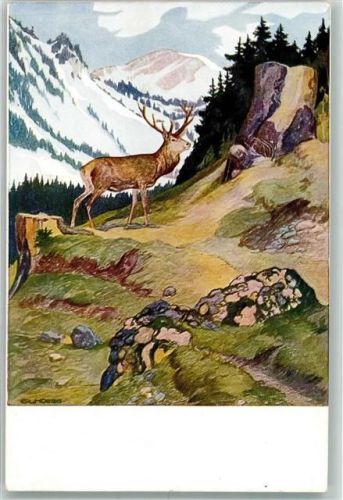 Serie II/3 sign. Hoeß Ludwig ; Hochwaldleben im herbst Jagdtier Hirsch