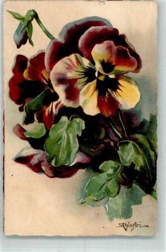 Nr. 190 Verlag Ballerini & Fratini Blumen Stiefmütterchen