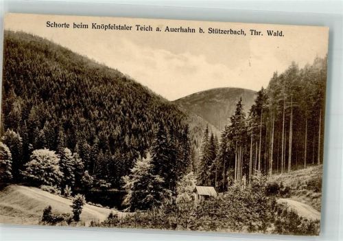 Stützerbach 1915 Knöpfertaler Teich am Auerhahn Verlag Zieschank No. 1077
