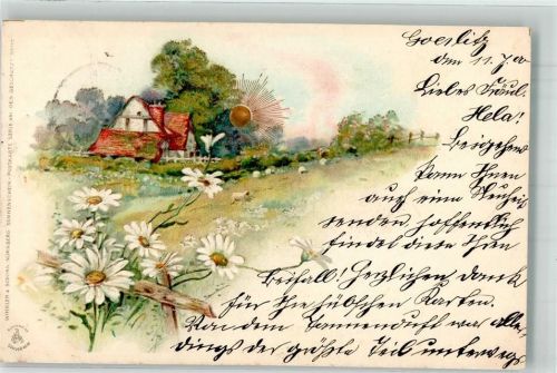 1900 Sonnenschein Karte Serie XIII Bauernhaus Margeriten