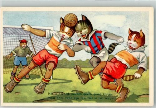 Katzen Fußball Spruch
