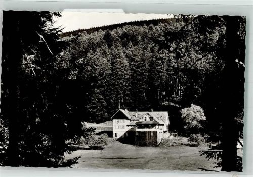 Hundsbach Gasthaus Pension zur Forelle