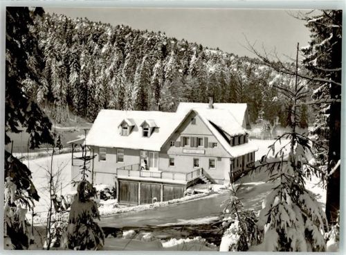 Hundsbach Winter Gasthaus Pension zur Forelle
