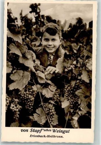 Erlenbach Kind Reben Trauben Stapfsches Weingut