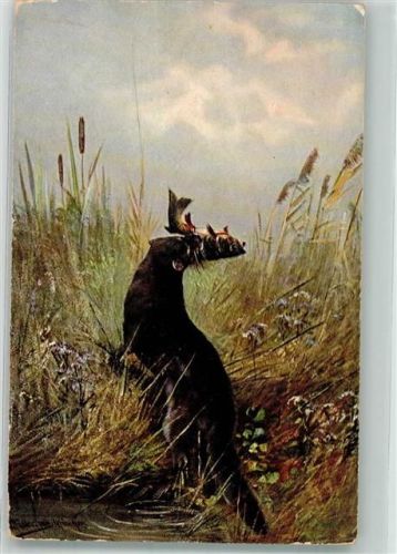 Otter Fische sign. Müller jun. HKM Nr.350